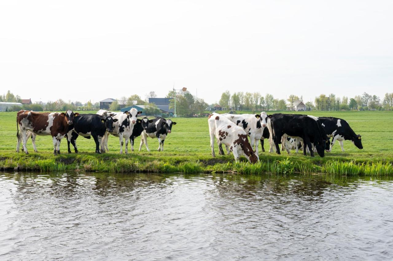4 To 6 Persons Waterfront Villa Roelofarendsveen